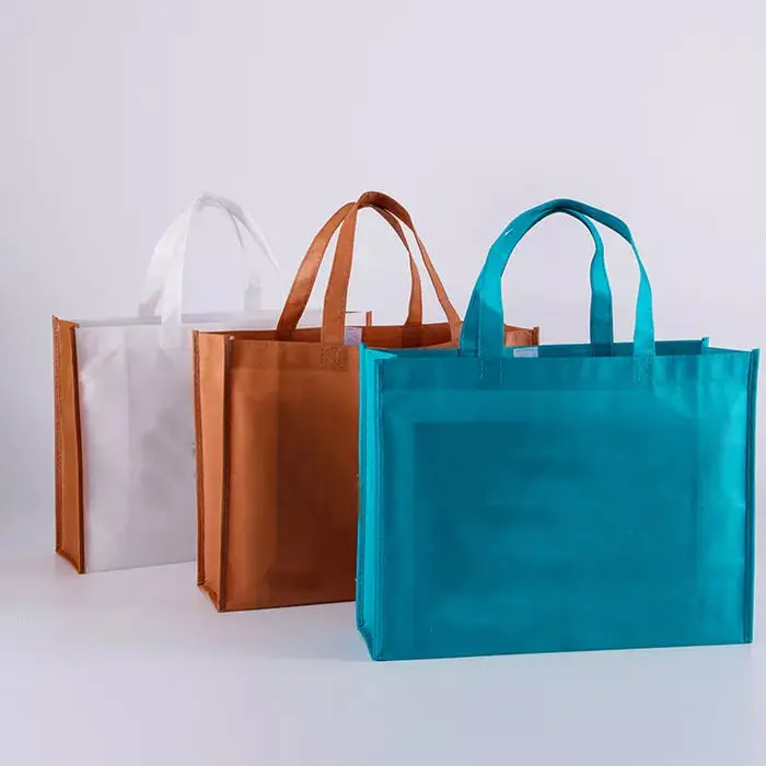 Cheap Eco Friendly Manufacturer 20kg Laminated Reusable PP Non Woven Bag