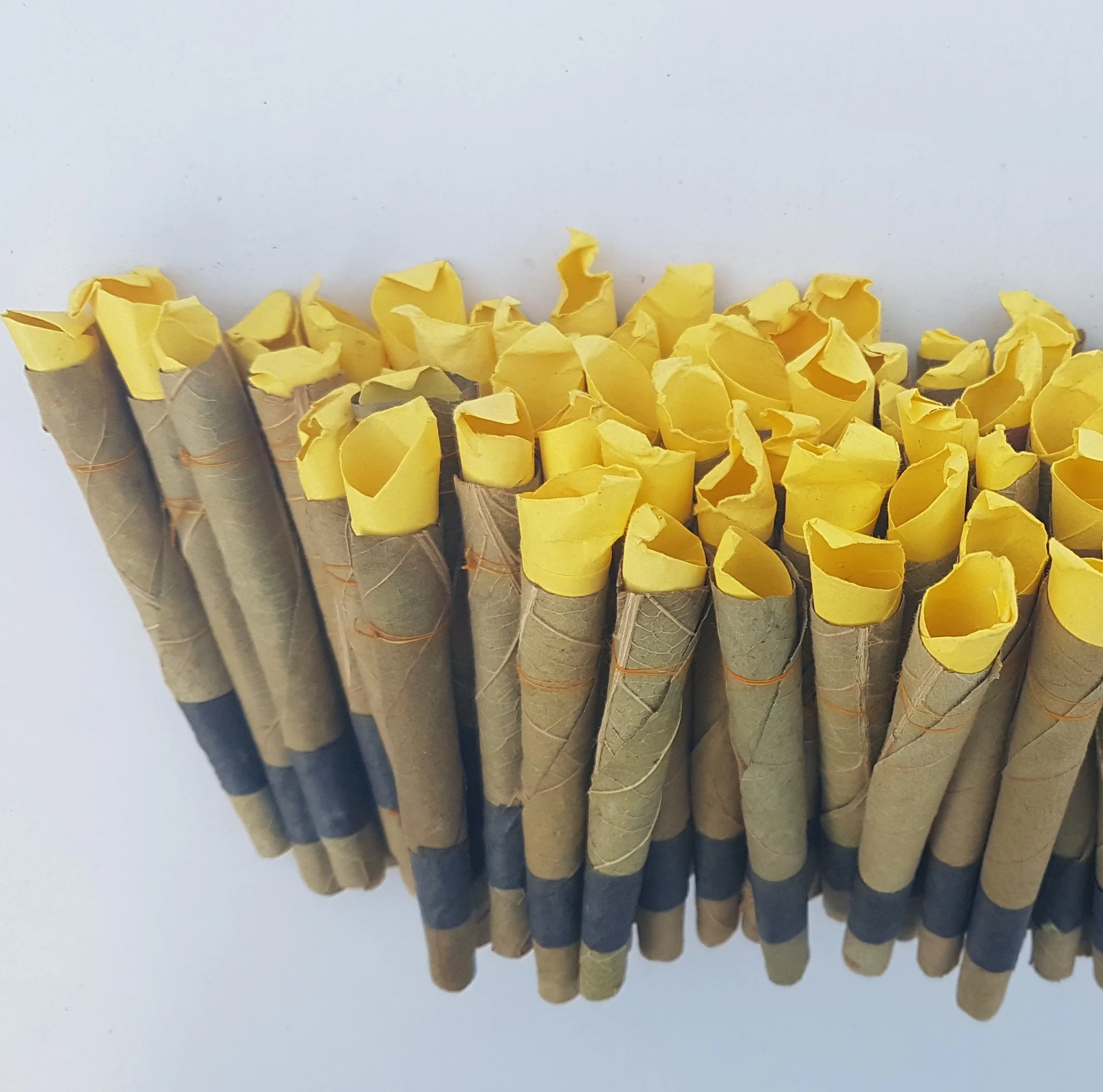 cordia leaf rolls Perfect rolled Herbal Leaf Pre Rolled Cones blunts Bulk OEM flavored wanted distributors
