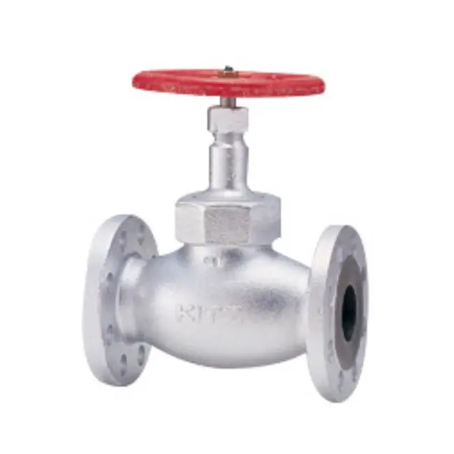 Metallic structures steam supply piping gray ductile cast iron gate valve
