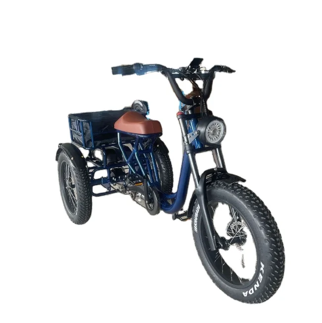 48V500W литиевая батарея давления масла дисковый тормоз качели широкая шина trike