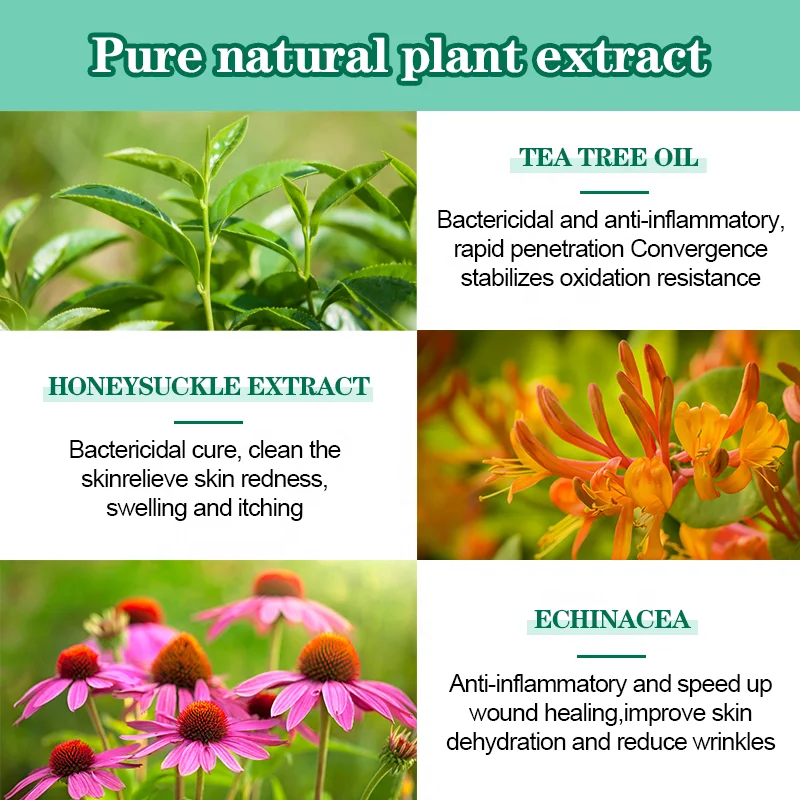 Private Label Tea Tree Oil Salicylic Acid Skin Repair Lighten Anti Acne Scar Pimple Shrink Pores Face Cream