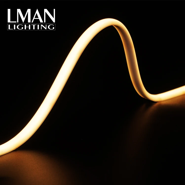 DC24V Anti UV Wildly Use 10*5mm Outline Building Decorations Silicone Neon Rope Soft light Led Neon