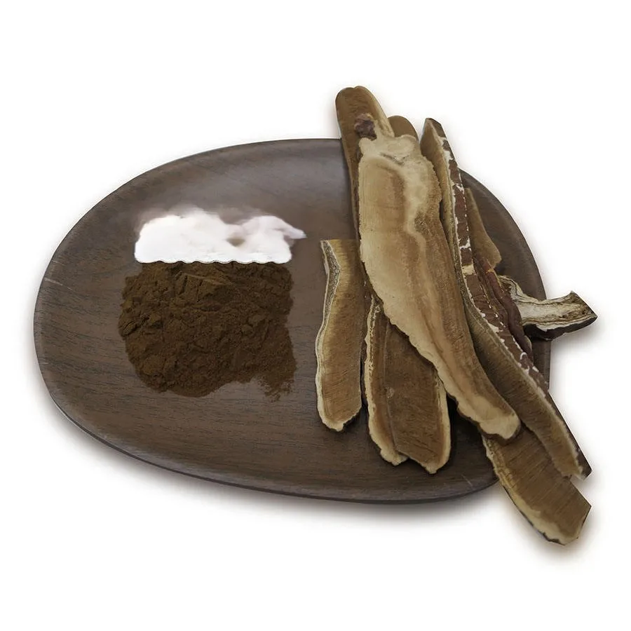 Manufacturer Supply Natural Reishi extract 30% & 50% polysaccharide