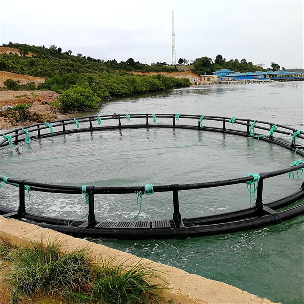 Ocean Floating Fish Farming Cage export to Ghana