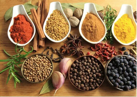 CWF-600 Pulverizer Equipment Pulverizing Grinder Machine For Herbal Ultrafine Powder Pulverizer