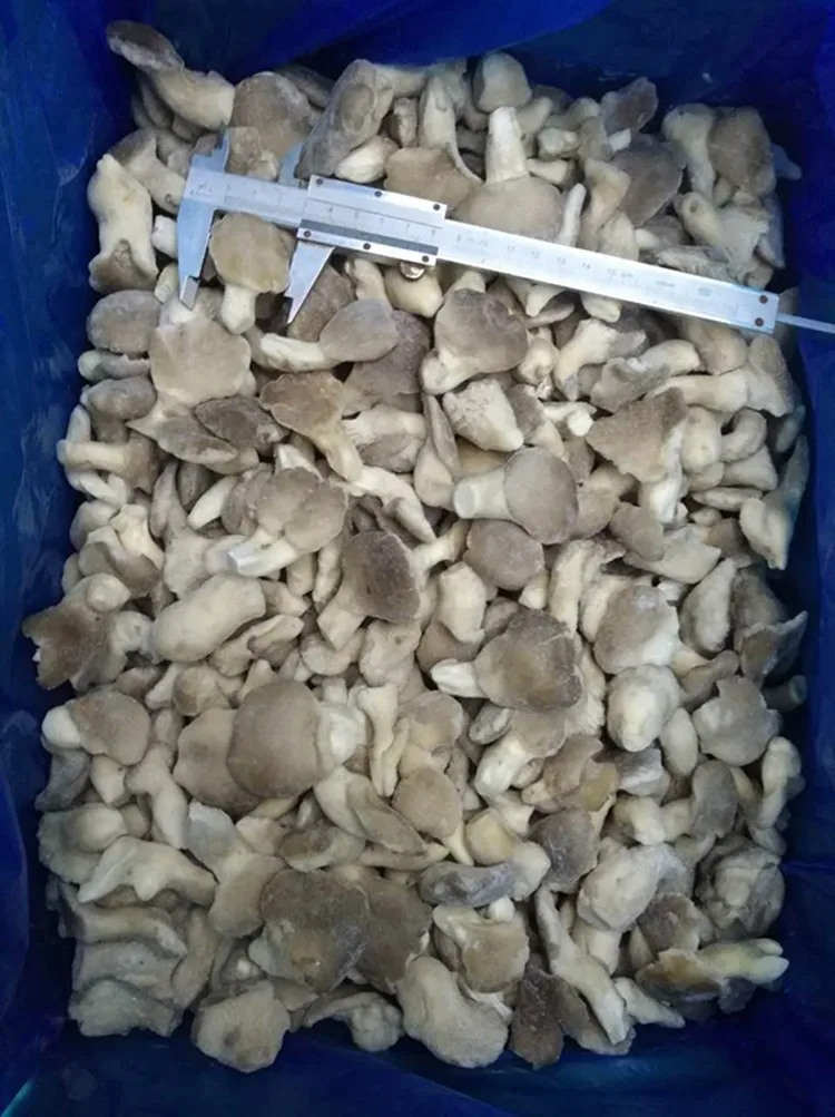 IQF Frozen Baby Oyster Mushrooms Premium Quality Edible Fungi for Culinary Use