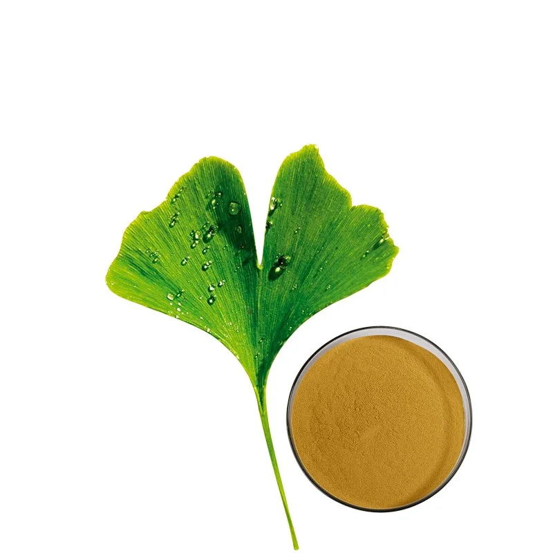 Kosher Organic Ginkgo Biloba Extract Water Soluble Dried Leaves Powder Food Grade Herbal Supplement in Drum Packaging