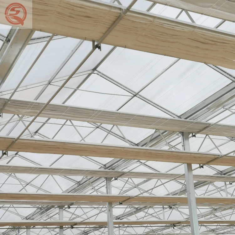 Клубничный поликарбонатный лист для теплиц, сельское хозяйство, зеленый дом