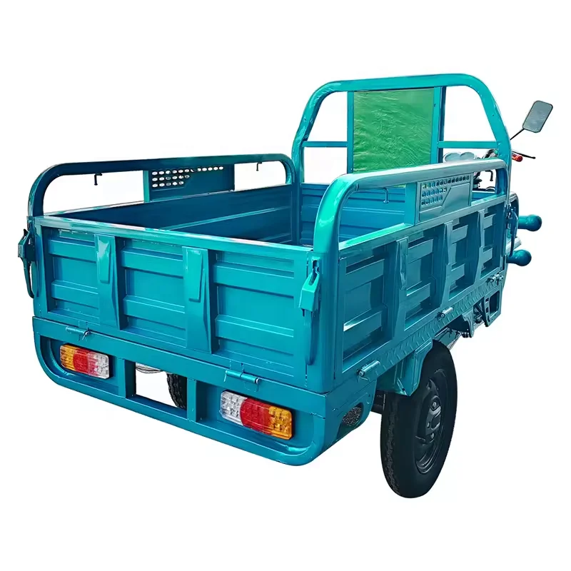 US/EU warehouse factory direct sale China hot sell cheap electric tricycle 3 wheeled Electric tricycle with cargo tricycle