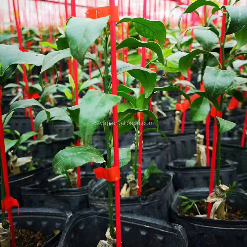 Custom Fiberglass Plastic Tomato Garden Support Stakes