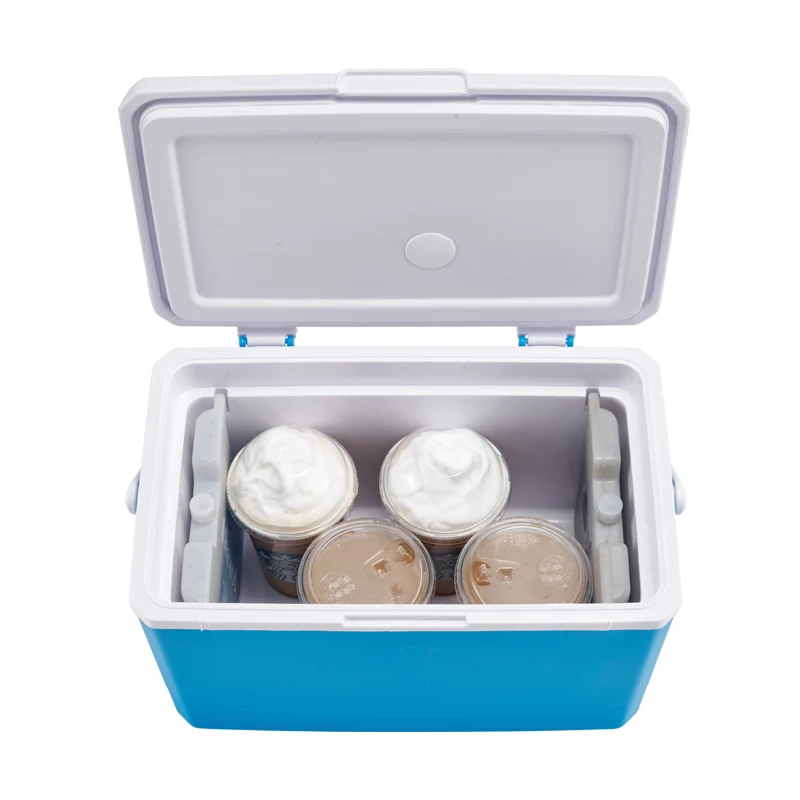 Camp Cooler Box BBQ Drinks Food Keep Fresh and Cool Box Plastic Can Cooler 3L 5L 9L 16L