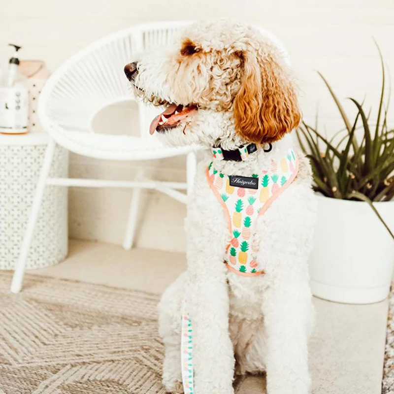 Модный дизайнерский Регулируемый мягкий Регулируемый ошейник для щенка с цветочным принтом, дизайнерская Роскошная шлейка и поводок для собак