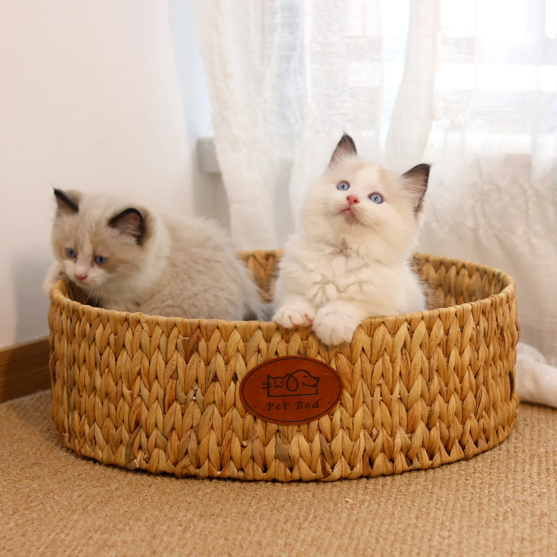 Wholesale Pet Cushion Handmade Weaved Cozy Cat Bed Wicker Simple Design Comfortable Bed For Pet Cat Dog