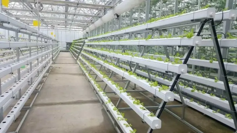 Agricultural greenhouse hydroponics shelves system indoor nft pipe gully for Lettuce high quality PVC Tube