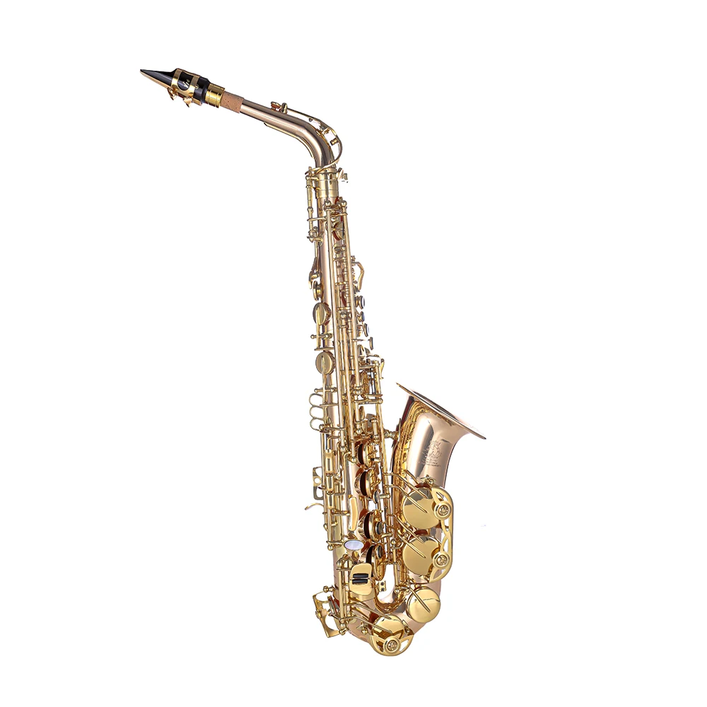 Factory Price Wholesale Brass Alto Saxophone High Quality Saxophoone Made In China