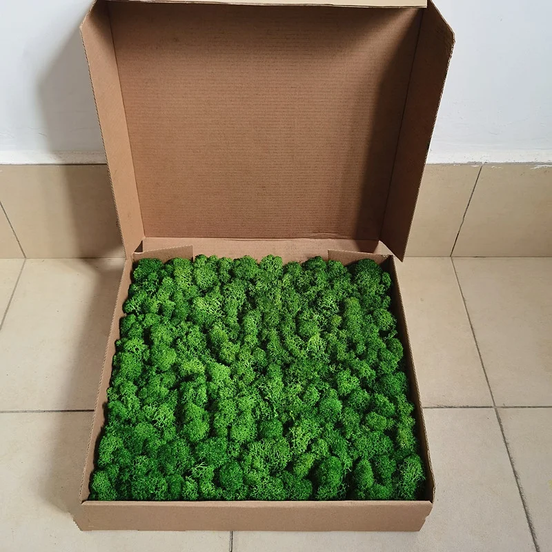Factory high quality Interior office wedding wall decoration real natural moss 5 6cm preserved reindeer moss panel
