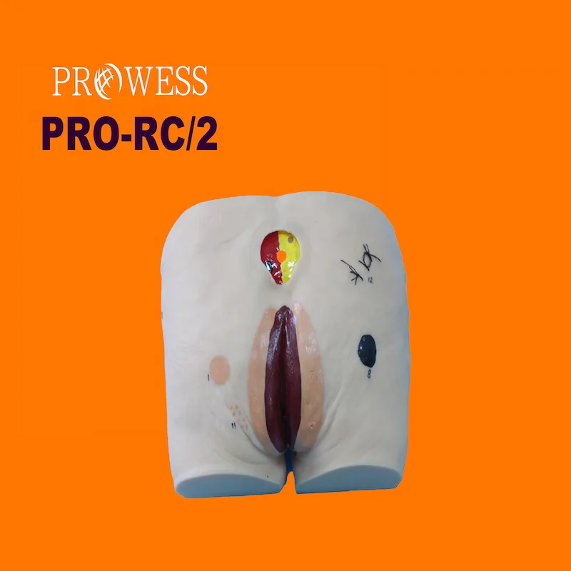 PRO-RC/2 Silicon and rubber durable senior of pressure ulcers solution dummy nursing model pressure ulcers manikin