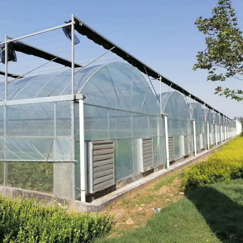 high quality big span garden multispan greenhouses for sale made in China