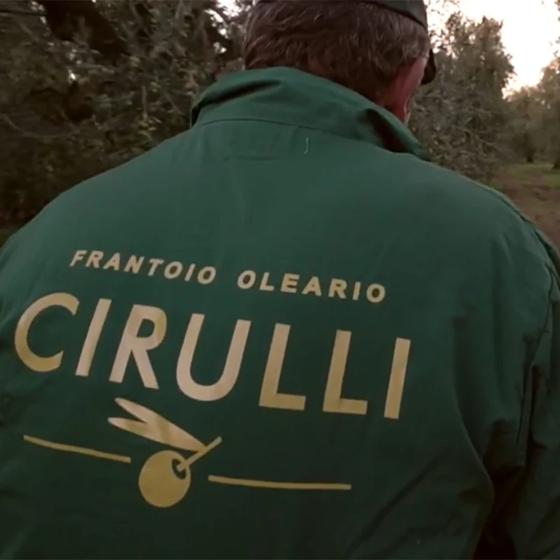 Italian Preserved food Eggplant julienne canned in 280g jar perfect with meat dishes or topping sandwiches