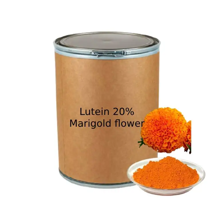 Natural Marigold Flower Extract Bulk 20% Lutein Powder