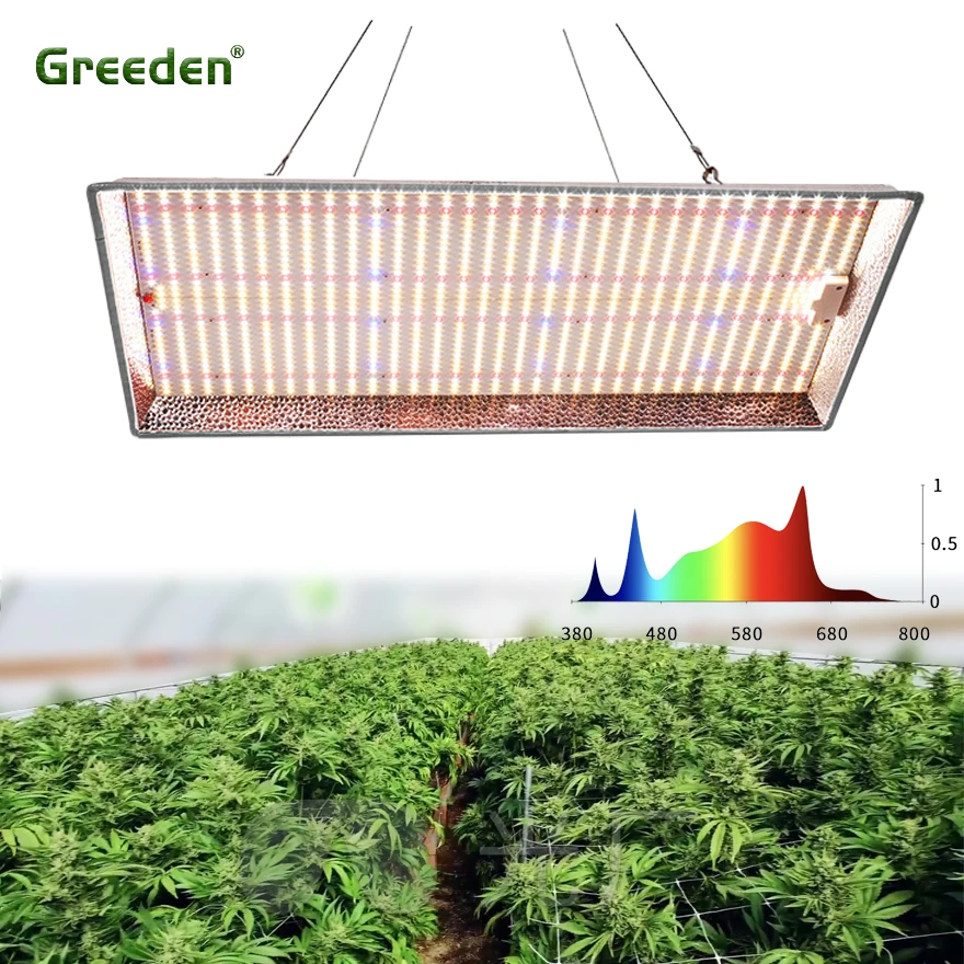 Greeden Heatsink Waterproof Samsung Lm301b Lm301h 320w 400W Led Grow Light Quantum Board