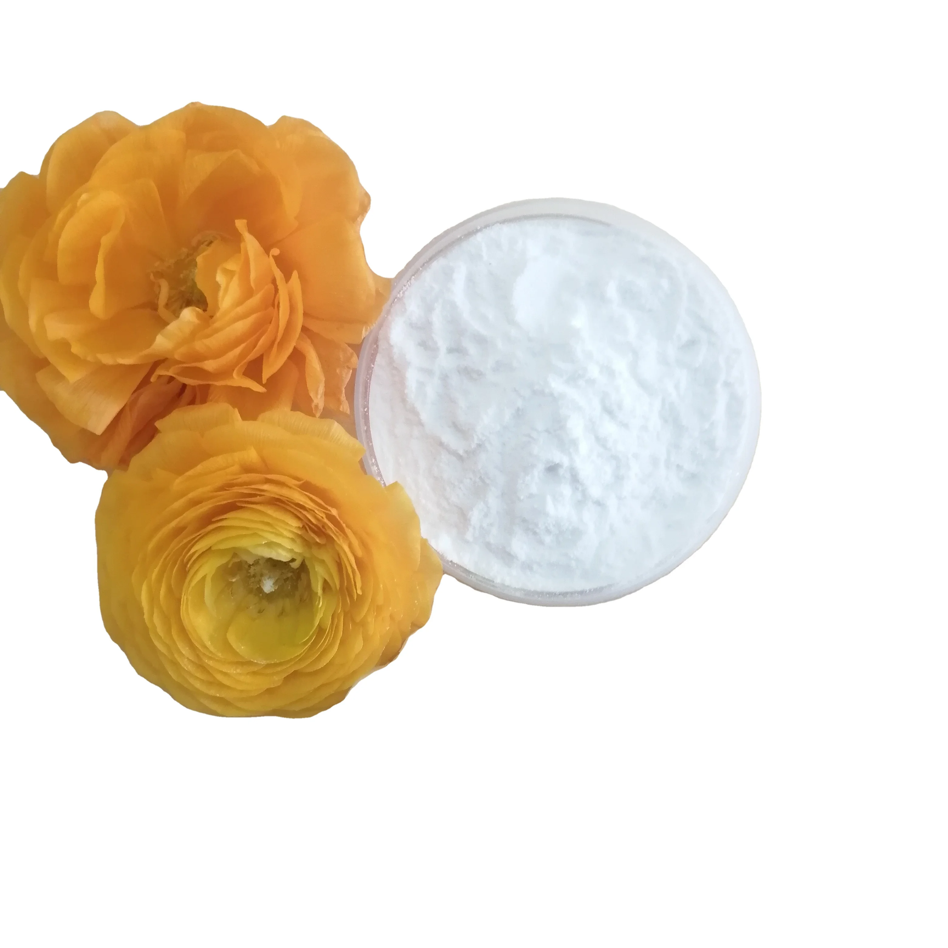 Monosodium Phosphate (MSP) NAH2PO4 cas no 231-448-7 PH regulator buffering agent 7558-80-7 factory supply