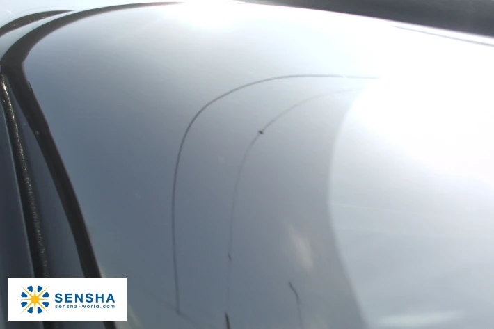 removing plastic stain PLASTIC POLISH B 50ml car stain remover polish by SENSHA