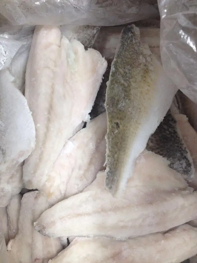 Frozen Red Drum Fillet skin on