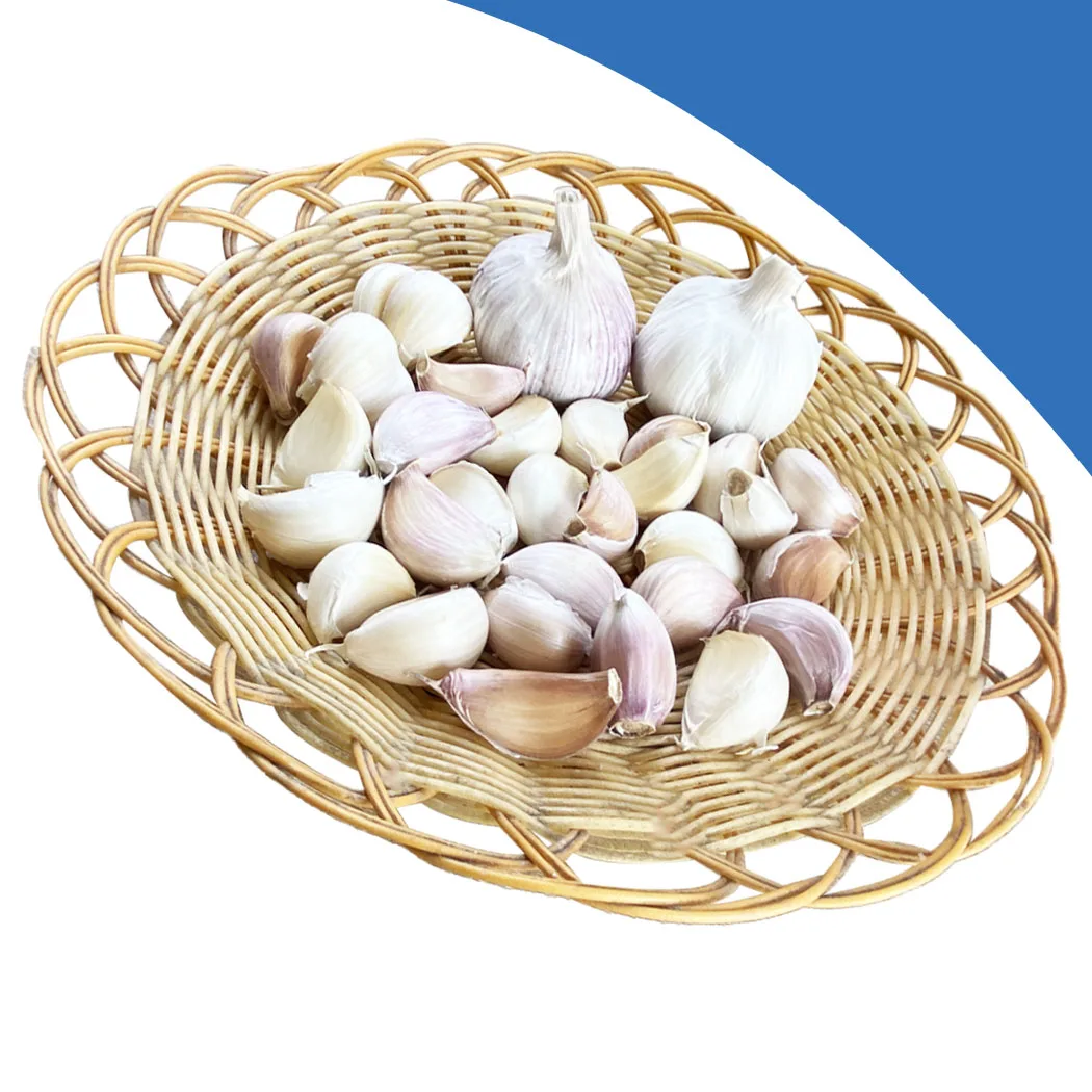 5CM ABOVE SIZE CHINA GARLIC IN 10KG CARTON 10KG MESH BAG EXPORT ASIA STANDARD