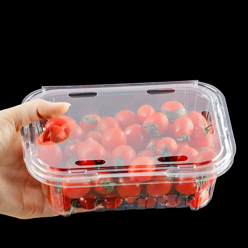 Customizable Disposable Recyclable Clear Pet Blister Plastic Fruit Box for Strawberry and Blueberry Container
