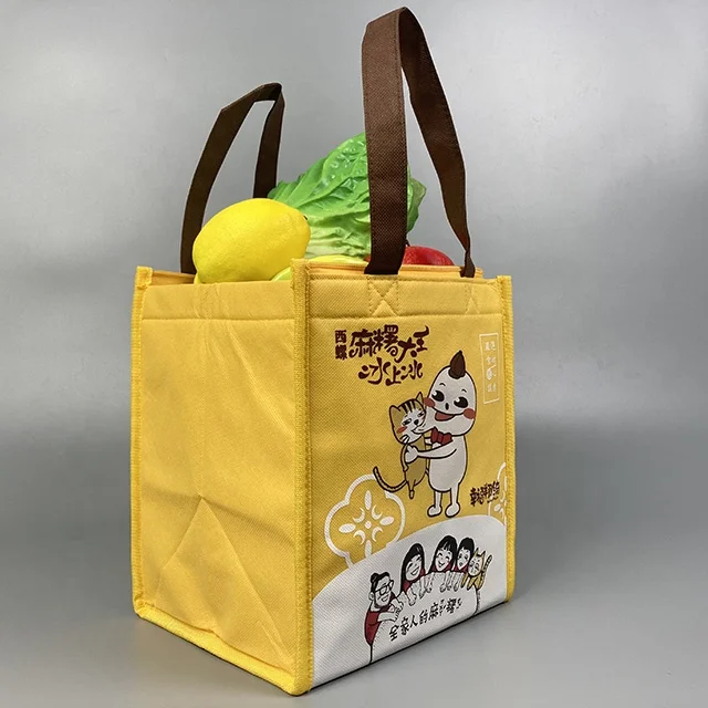 Sedex audit customized top quality non woven ice bag cooler bag insulated lunch delivery insulator bag