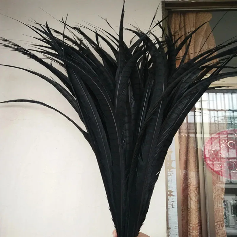Wholesale Pheasant Feathers  70 cm  Lady Amherst Pheasant Feathers For Sale