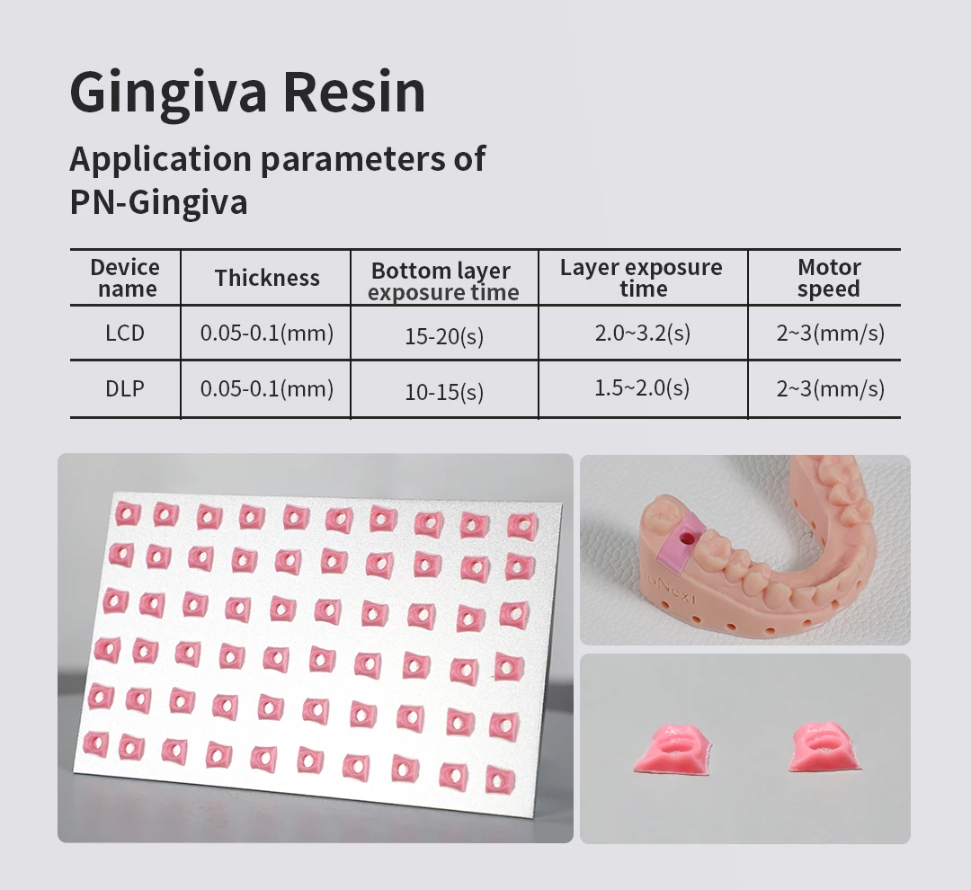 Pionext PN-GM  photopolymer resin for dental  tooth model resin dental 3d resin gingiva