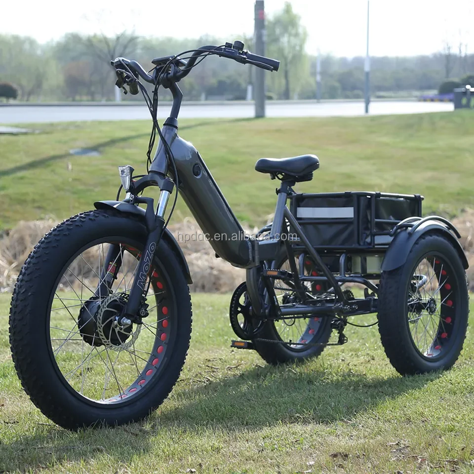 Powerful new model e cargo bike China pedal assistance operation big loaded electric bike for delivery