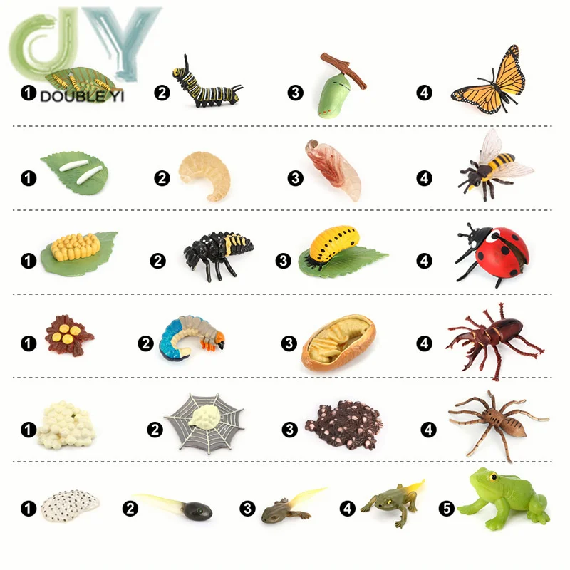Simulated animal models insects butterflies bees frogs spiders ladybugs snails small animals growth cycle toys