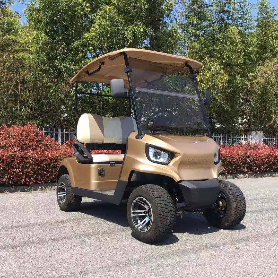 2 person electric car  AW2024K 2 seater small golf cart