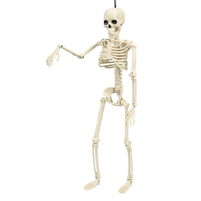 New Arrivals Movable Joints Creepy Props Skeleton Bones Life Size Halloween Skeleton for Festival Party