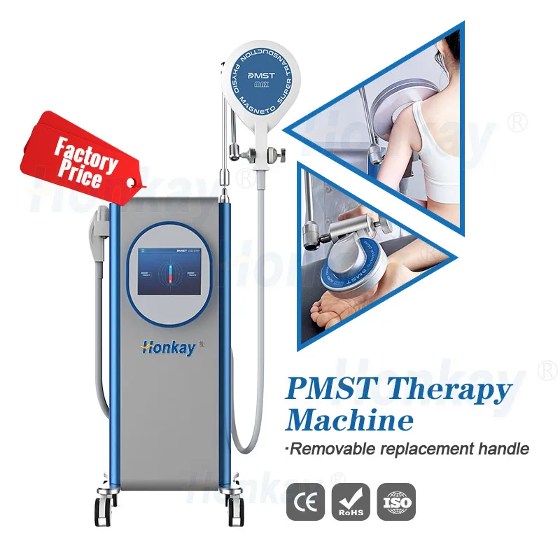 Dual Channel Pro Pemf Magnetic Therapy Device 7t powerr Handles Physio Magneto Musculoskeletal Therapy Machine