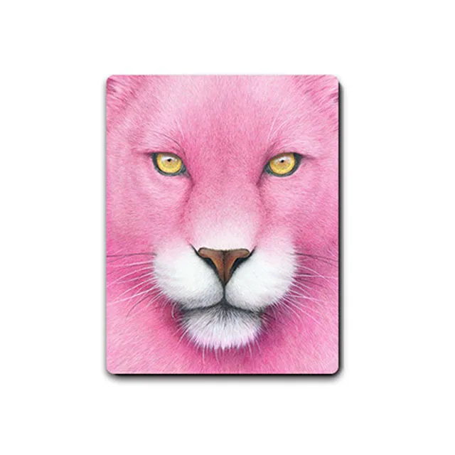 Custom 3d lenticular magnet with flip designs for refrigerator decoration