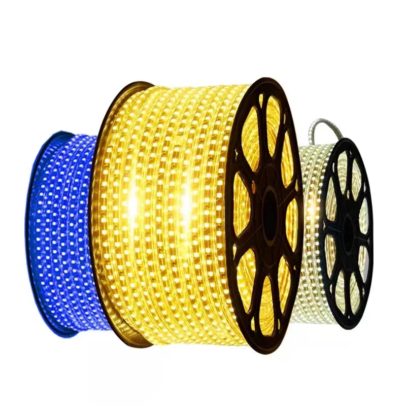 Home Decoration Tira Smart led Strip light waterproof SMD5050 3014 led strip light for ceiling 220v