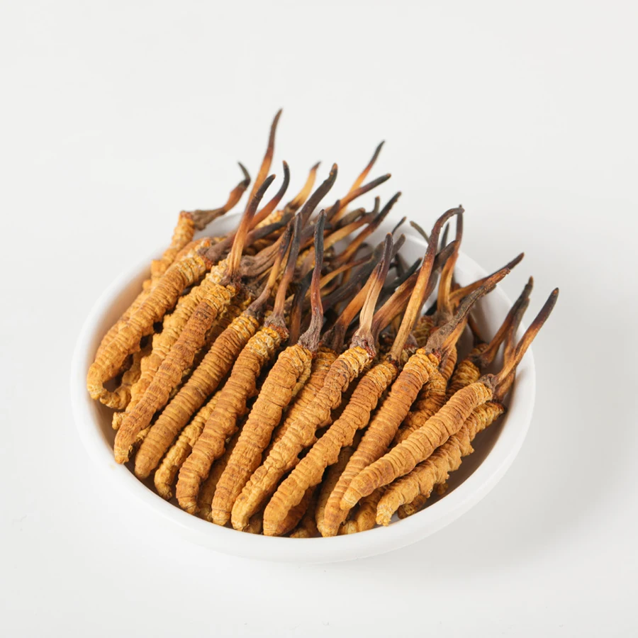 Wholesale freeze-dried cordyceps, Cordyceps, herbal extracts