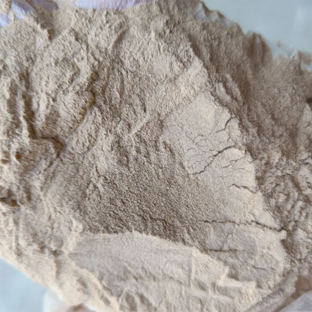 Корневища Bacillus megaterium улучшает урожайность и доход