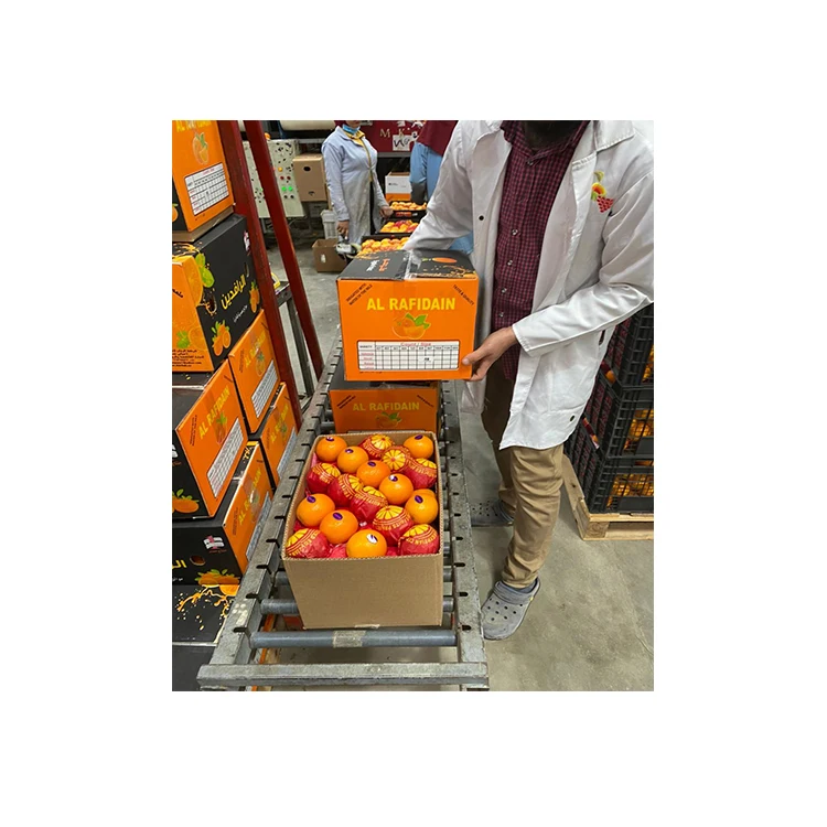 Orange 100% Natural Egypt Fresh Orange With High-quality Pulp Oranges Fresh Fruit For Sale