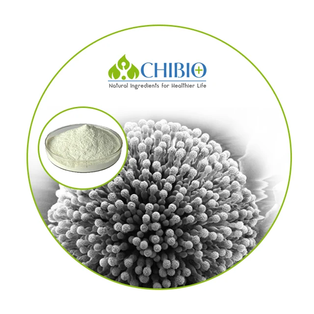 100% Natural Water Soluble Aspergillus Niger Chitosan Oligosaccharide <3000Da Powder for Food Dietary Supplement Nasal Spray