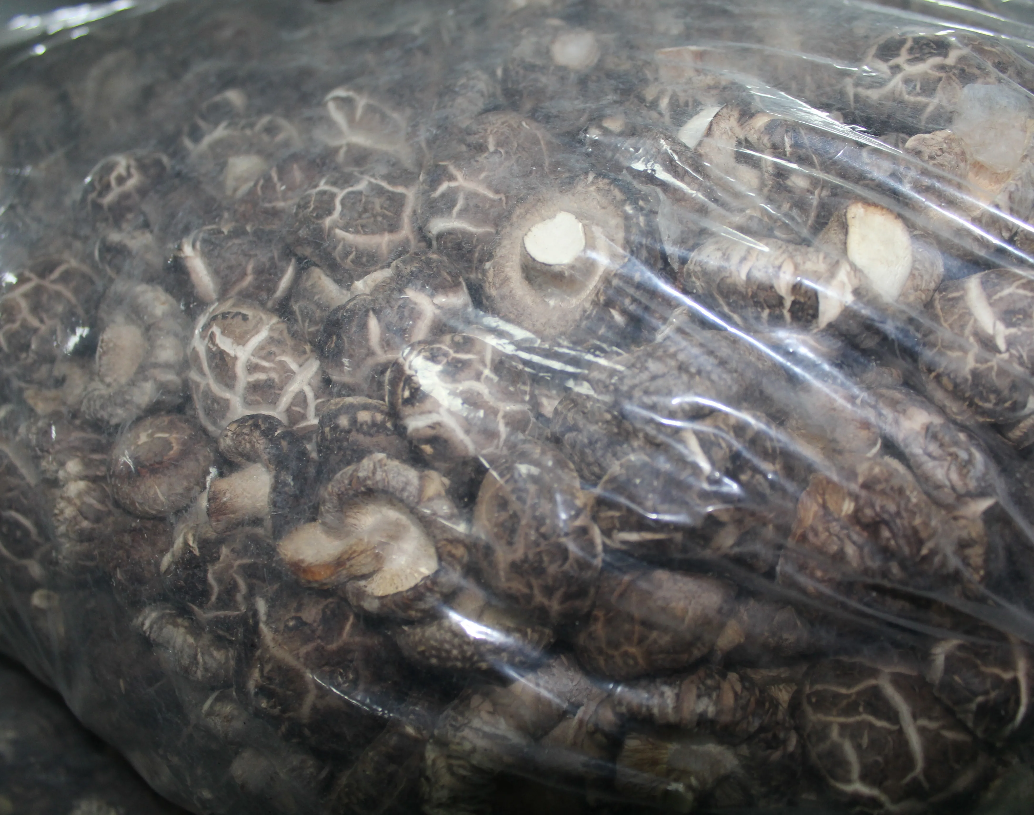 
hot sale dried shiitake mushroom organic heathy 