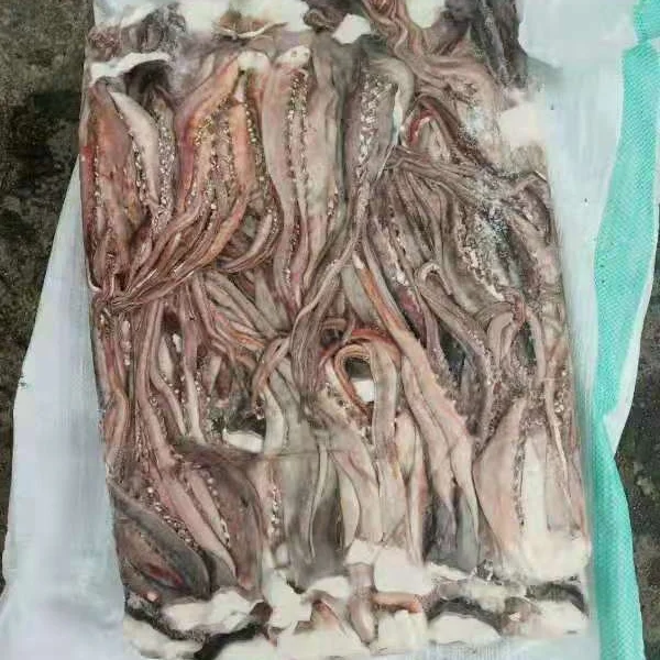 
Good Sale Seafood Fish Frozen Peru Squid 