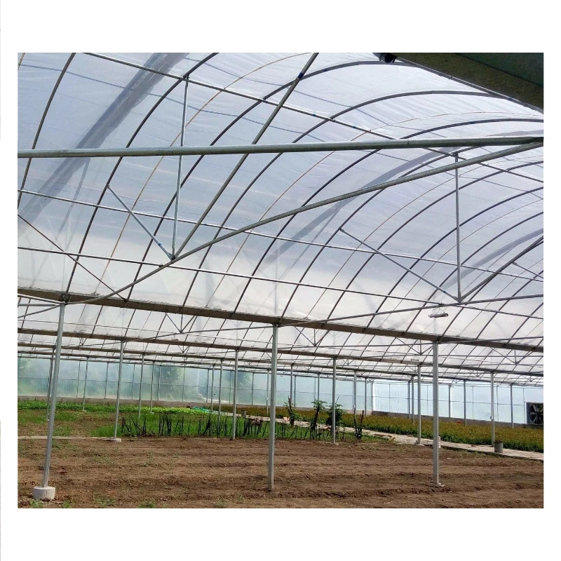 Affordable Greenhouses for All Seasons: Durable and Wind-Resistant