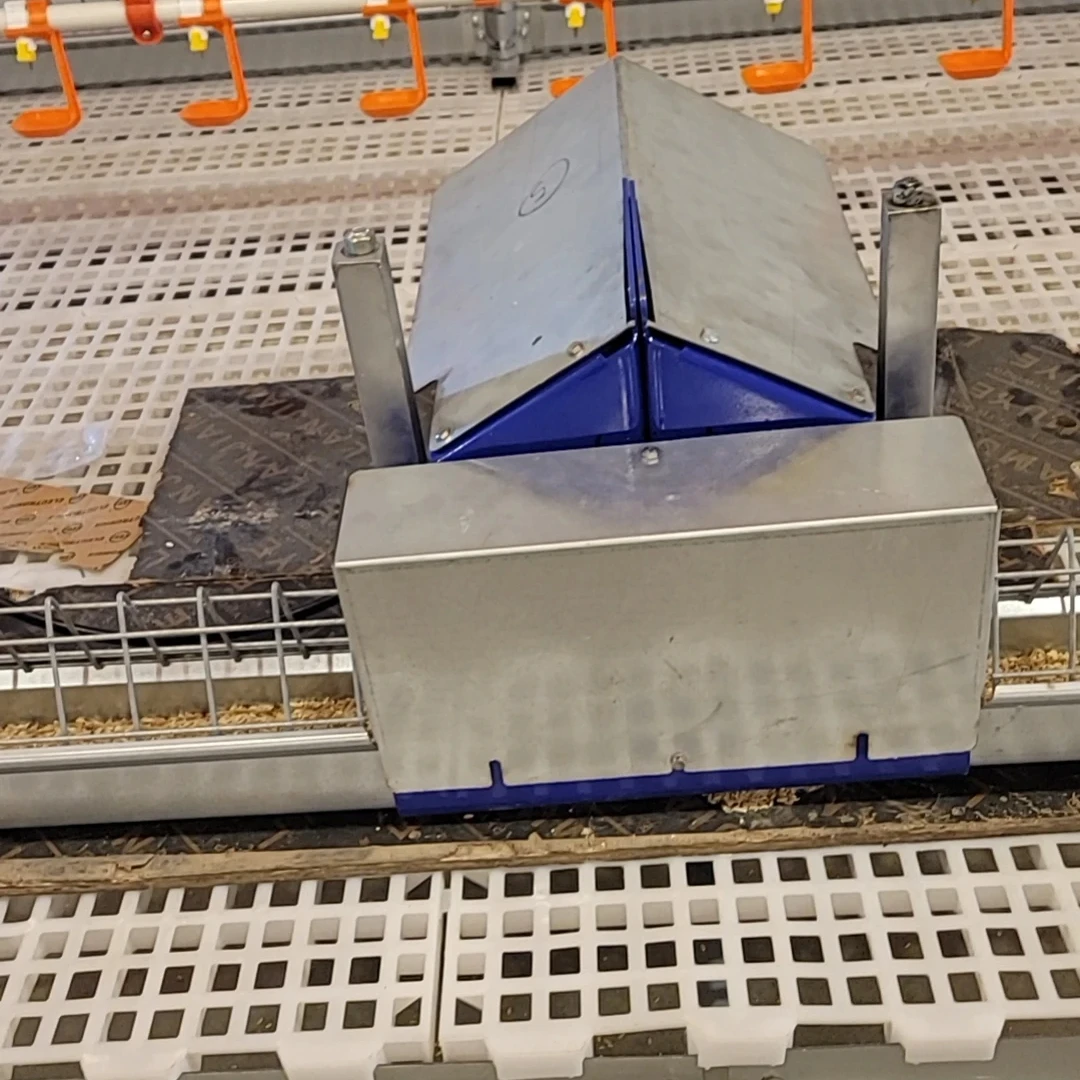 Chicken broiler poultry farm equipment chicken floor plastic slate flooring