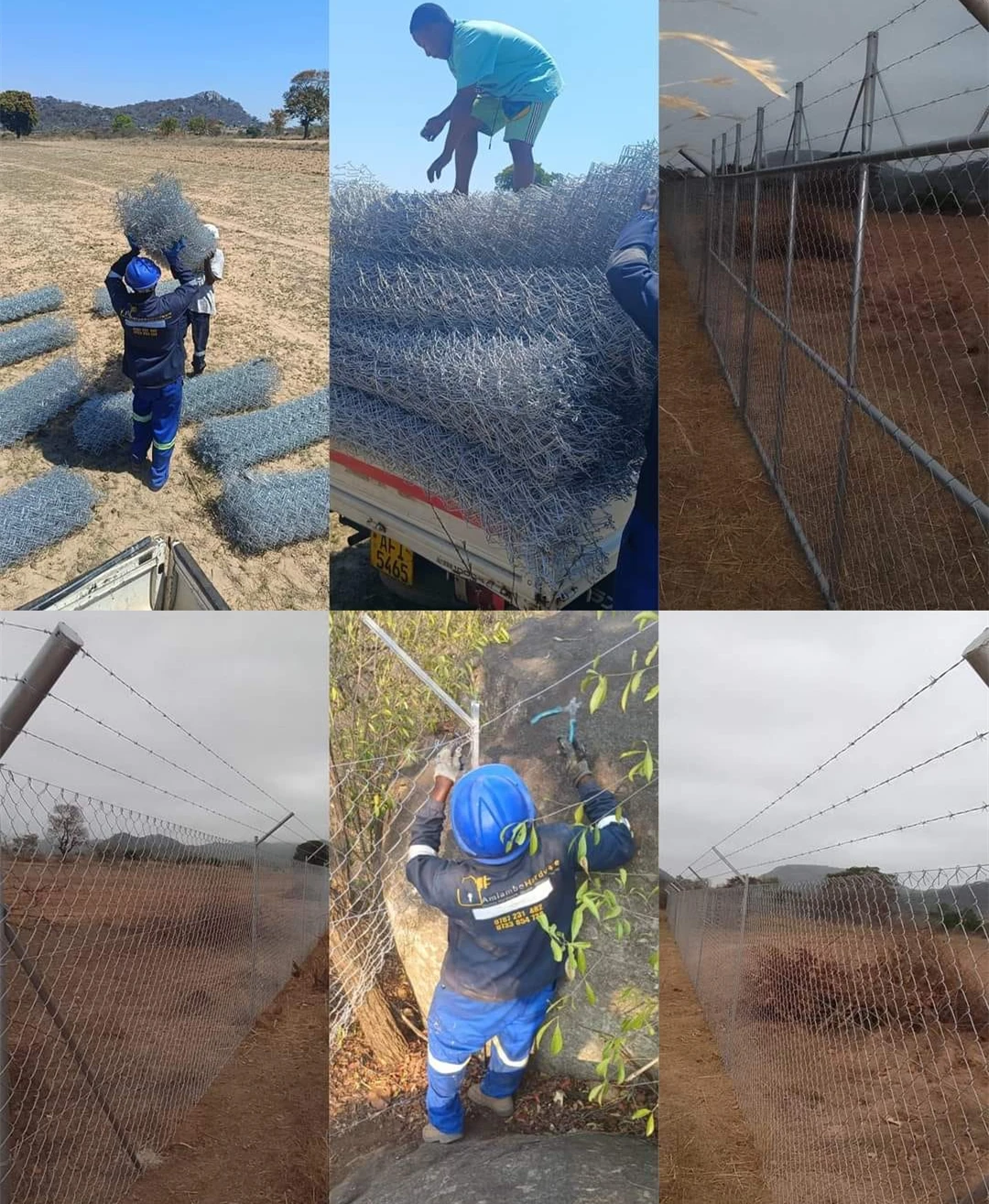 Farm Fence Wire Line Fencing Trellis Gates Grillages Cloture pour 4 Hectare Agricultural Fence