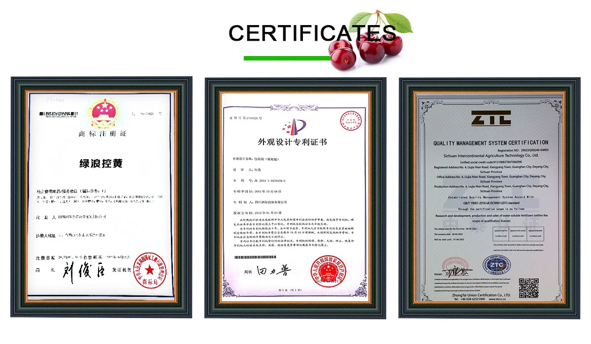 Rich humic acid water soluble root strength high nitrogen 150 30 20 npk liquid fertilizer for corn rice bean